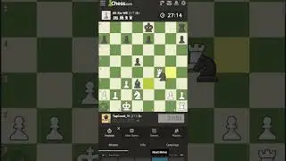 The Most Intense Chess Match Ever!