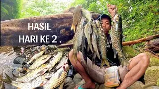 Hasil || Casting Mahseer dan Hampala di hulu sungai part 3