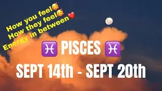 PISCES ~ YOU AND THE OTHER PERSON ~ Pisces September 2020 Love