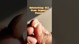 How to check Organic Peanuts Oil #quality #peanutoil #howto #shortvideo