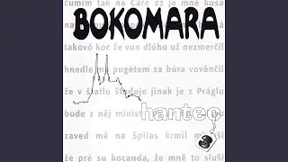 Až skončím V hokně