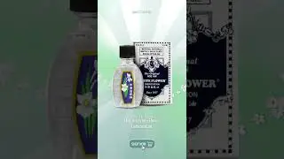 The Original Hoe Hin White Flower Embrocation