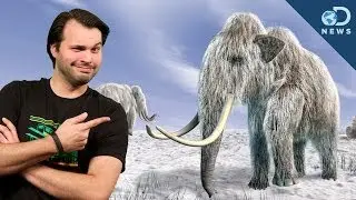 Are We Finally Ready To Clone A Mammoth?
