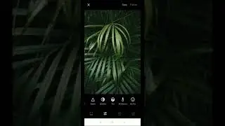 Quick and Easy VSCO Tutorial Using Android