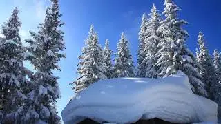 Spisshof - Grins - Austria