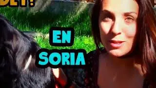Vinuesa . M&aacute;s que un pueblo