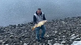 Fishing in Upper Hudson River! Catching a 3+ FT SCALED CARP! 🐟