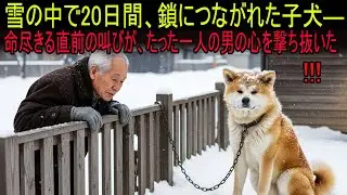 雪原に20日間放置された子犬――命の限界で放った叫びが、たった一人の男の心を動かした