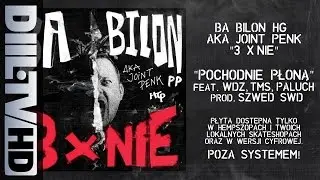 Bilon HG - Pochodnie Płoną feat. Wilku WDZ, TMS, Paluch (prod. Szwed SWD) [DIIL.TV]