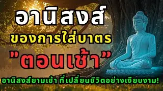 อานิสงส์ของการใส่บาตรตอนเช้า เปลี่ยนชีวิตได้ทันที…