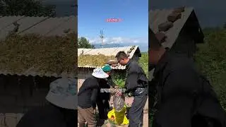 今天，天气很好，就像我的心情一样。这种与大自然同频的美好时刻，分享给你。也希望你的心情每天都艳阳高照。#乡村守护人 #乡村生活