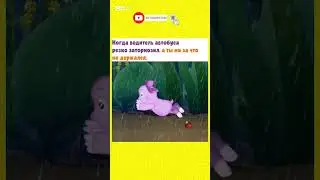 🤣😅было такое?#юмор#смехпродлеваетжизнь #приколы #шуточное #мем #смешнойшортс #жиза #cat