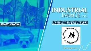 Impact Interview - Huron Humane Society