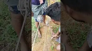 solar fencing ചെയ്യുമ്പോൾ കമ്പി ടൈറ്റ് ചെയ്യുന്നത് എങ്ങനെയെന്ന് കാണാം