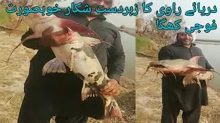 River Ravi fishing beautiful Foji khaga | Fishinginfo