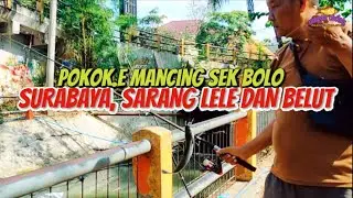 INI SURABAYA ‼️ MANCING DI SUNGAI RASA KOLAM SENDIRI