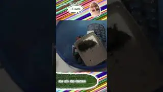 die Maus im Mistk&uuml;bel | RZ-00233