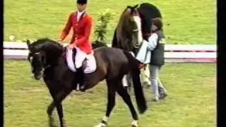 Conrad Homfeld - Mr T - Worlds in Aachen 1986