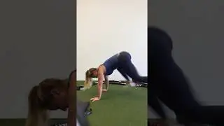 Sun Hire Wellness Mountain Climber