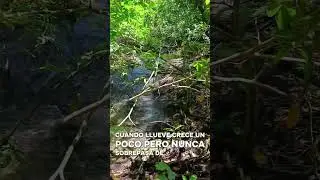 Terreno 5mz aprox. | Zacatecoluca | Tiene r&iacute;o | $140,000