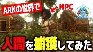 アークの世界で人間をテイムしてみた！！【ARK: Survival Ascended｜アークサバイバルアセンデッド｜HUMAN NPCs ASA｜おすすめMod｜攻略｜ゲーム実況】