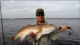 Fort Myers Marketing Videos 239-826-6517