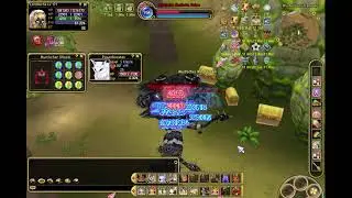 HP Regi-Rune ist broken