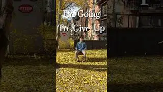 Would you give up? #founder #solopreneur #startup #quitmyjob #howtomakemoneyonline