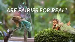 Fairies gritheart 1