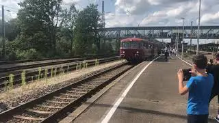 Uerdinger Schienenbus