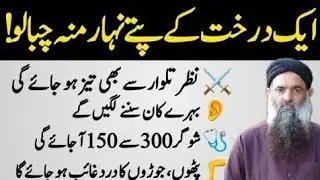 Best Urdu Quotes | Quotes About life | Rumi Quotes | Sunheri Golden Words | Dr Sharafat Ali