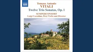 Trio Sonata in G Major, Op. 1, No. 6: III. Grave