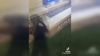Montana students urinating in public as part of 'shocking' new TikTok trend