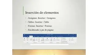 Video T&eacute;cnico Curso B&aacute;sico Word