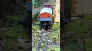 #gardenrailway #train #gartenbahn #trainspotting #modeltrains #lgb #railroad #spurg #railway