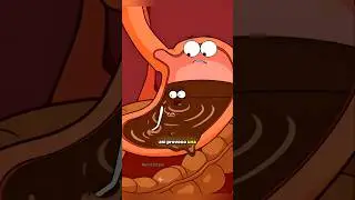 😱 Esto hace EL CHOCOLATE NEGRO en tu est&oacute;mago! 😋 #2danimation #cartoon #nutricionconsciente