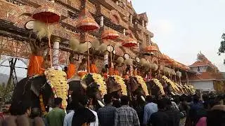 ഉത്രാളികാവ് പൂരം 