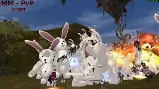 Shaiya Revelation (PvP + MM)