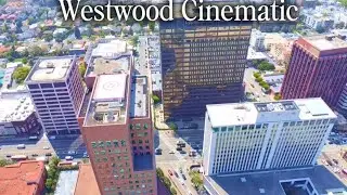 Westwood-Where Technology Meets The World-Cinematic Ariel 