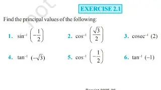 Inverse Trigonometric Functions PYQs | Exercise2.1 | Class 12 Maths Board Exam