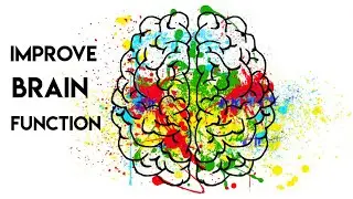 How to improve brain function ? Foods for brain health | Addict-To-Fit