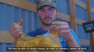 Piens un augļi mani draugi, sadarbībā ar LAD - Dārzeņi