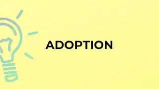 What is the meaning of the word ADOPTION?