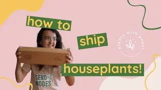 How to pack plants for shipping like a pro! mailing houseplants safely
