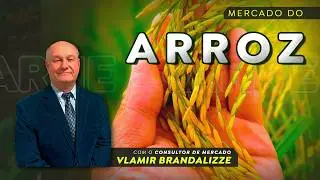 Reação no preço do arroz pode atrasar