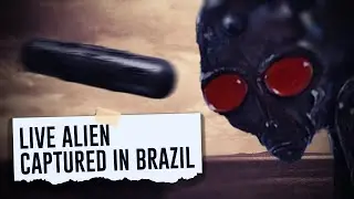 Live Alien Captured in Brazil: The Varginha Incident