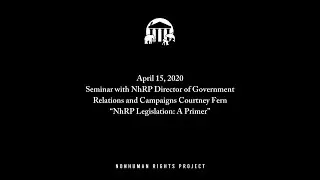 Seminar with the Nonhuman Rights Project's Courtney Fern (4/15/2020)