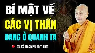 Bí Mật Về Các Vị Thần Đang Ở Quanh Ta | SC. Tâm Tâm
