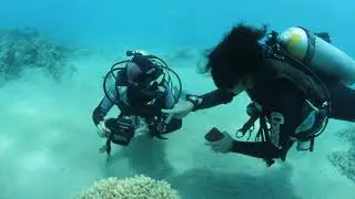 Environmental Dive Briefing -  German language