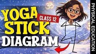 Physical education Yoga all stick diagram class 12